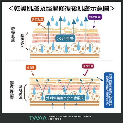 徹底解救冬季極乾皮膚芳療全對策　TWAA台灣芳療協會