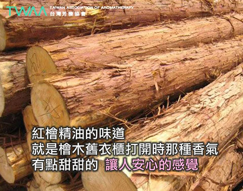 台灣紅檜精油 Benihi．檜木精油有著令人安心的氣味