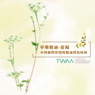 中醫師教你用對精油對抗疾病　草藥精油當歸