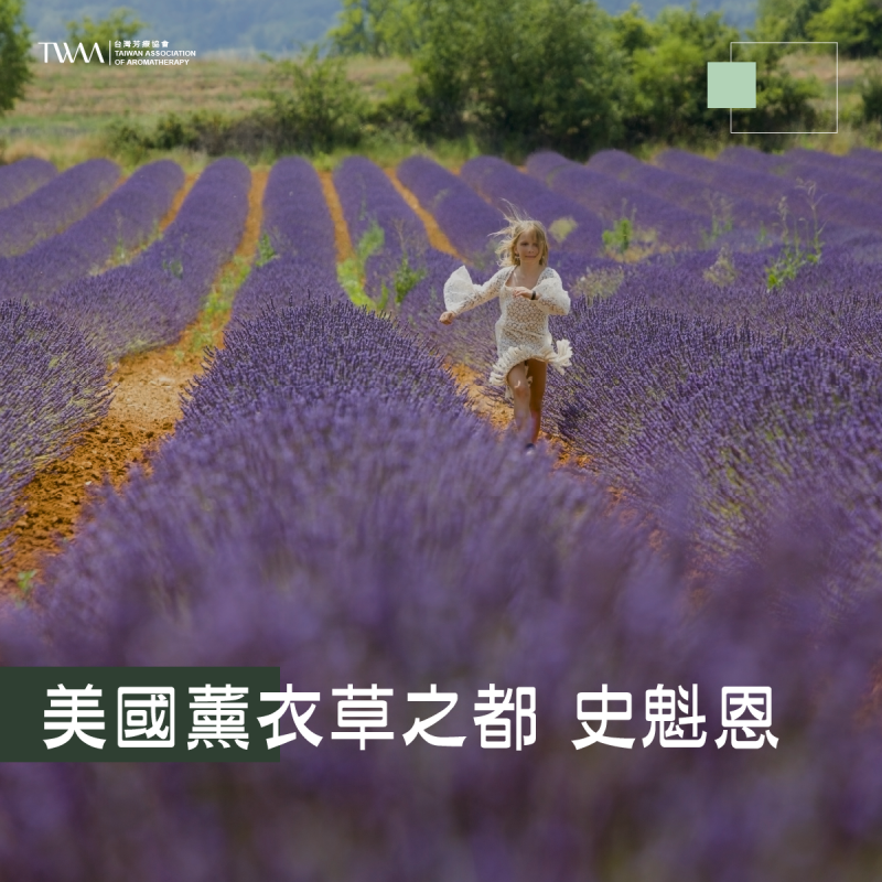 聽聽芳香~美國薰衣草之都 史魁恩Sequim