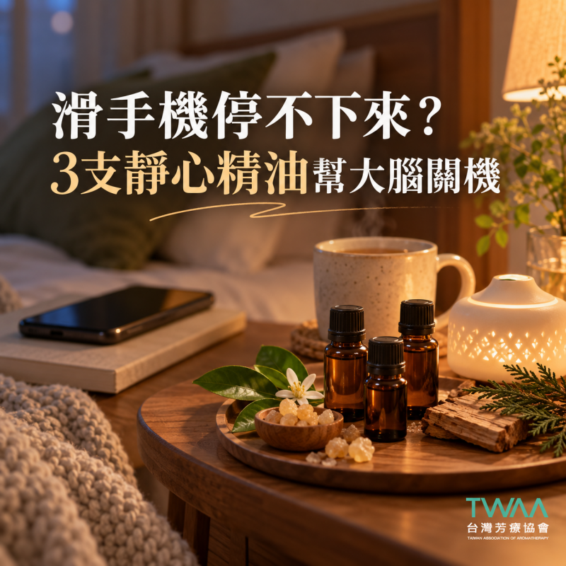 手機滑到停不下來？3支「靜心精油」幫大腦退出資訊轟炸模式