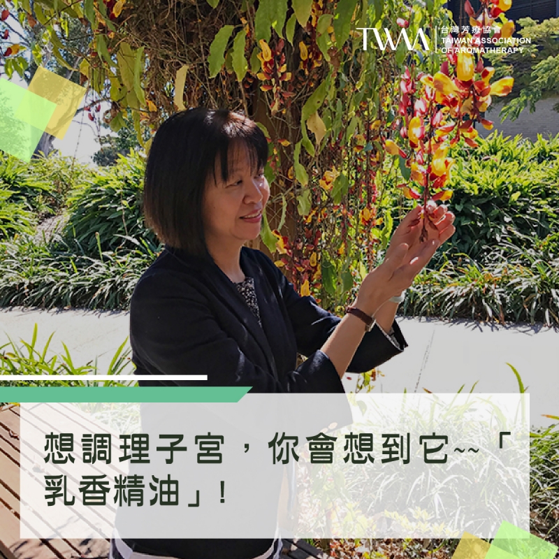想調理子宮，你會想到它~~「乳香精油」! 而且在你心裡最脆弱時，它能幫你脫離羈絆、找到生活的信仰!?