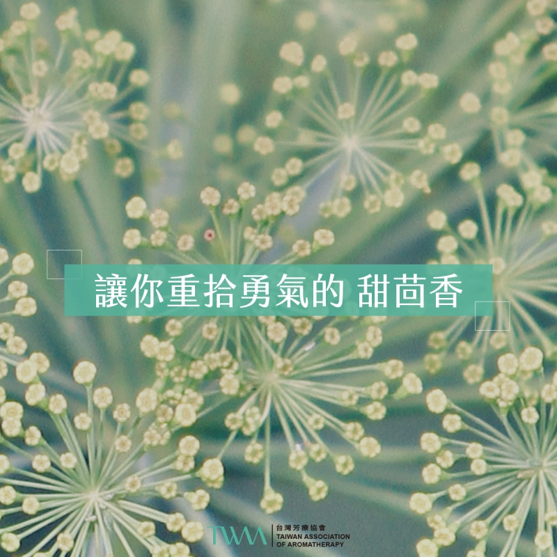讓你重拾勇氣的 甜茴香精油
