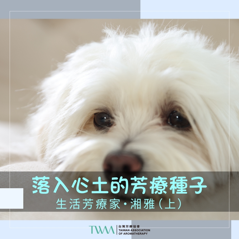 落入心土的芳療種子（上）　生活芳療家・湘雅