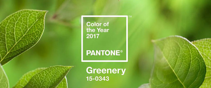 綠意中的2017：「草木綠」年度色