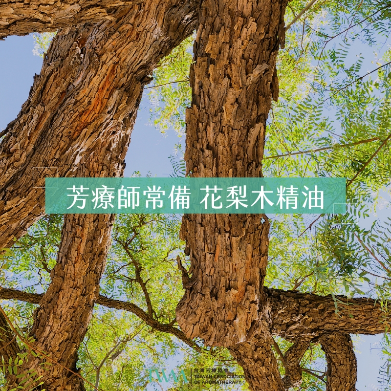芳療師常備 花梨木精油