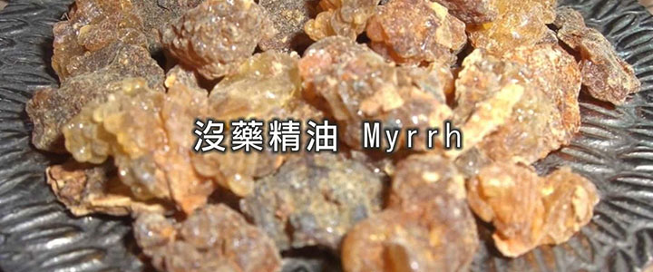 沒藥精油 Myrrh