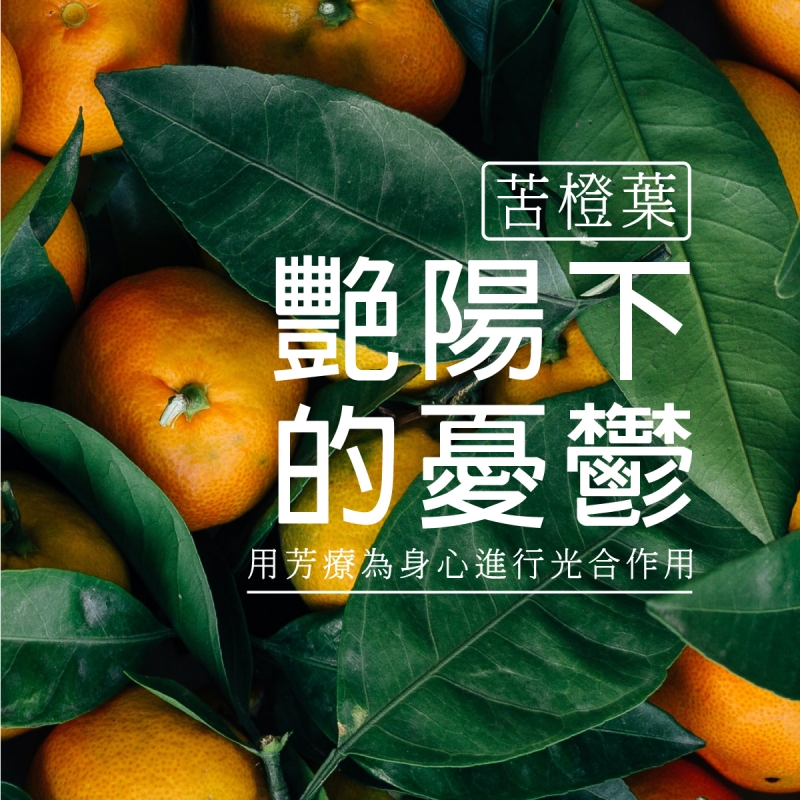 治療憂鬱的搖籃曲：苦橙葉精油