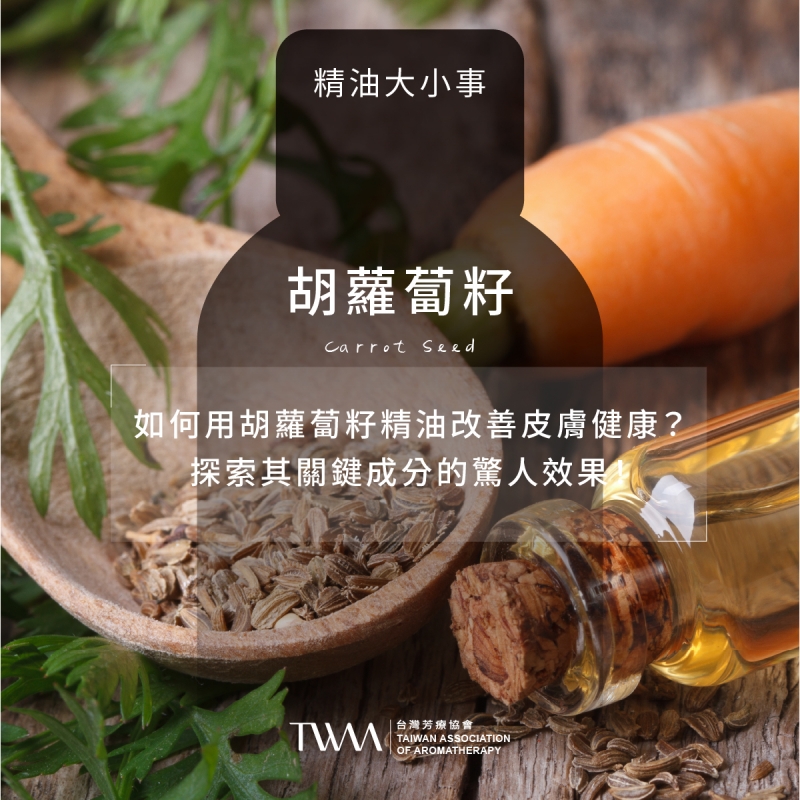 如何用胡蘿蔔籽精油改善皮膚健康？探索其關鍵成分的驚人效果！