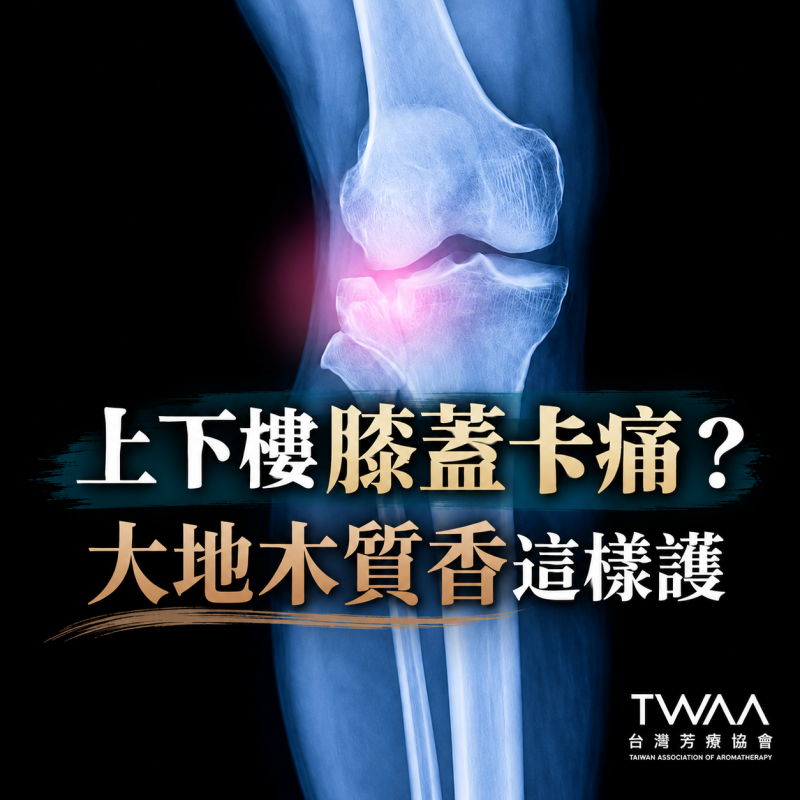 《2026/06/11 媒體報導》當下樓梯的每一步都顯得沉重？為長輩調配專屬的「大地木質香」，溫柔喚醒膝關節的輕盈活力