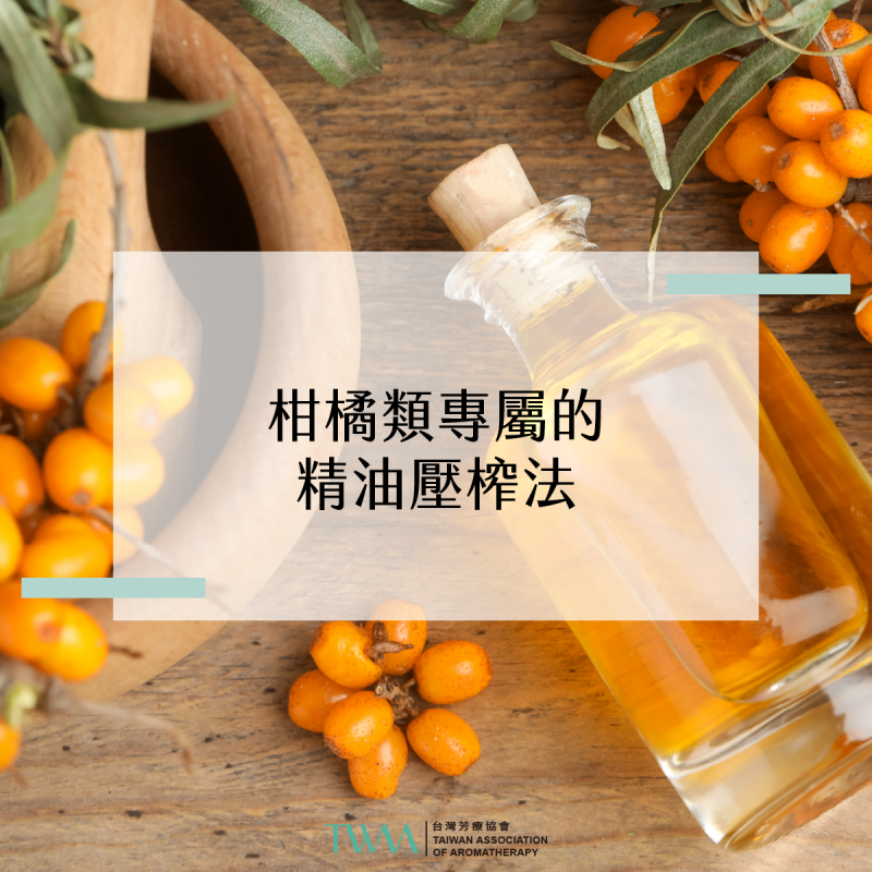 柑橘類專屬的精油壓榨法