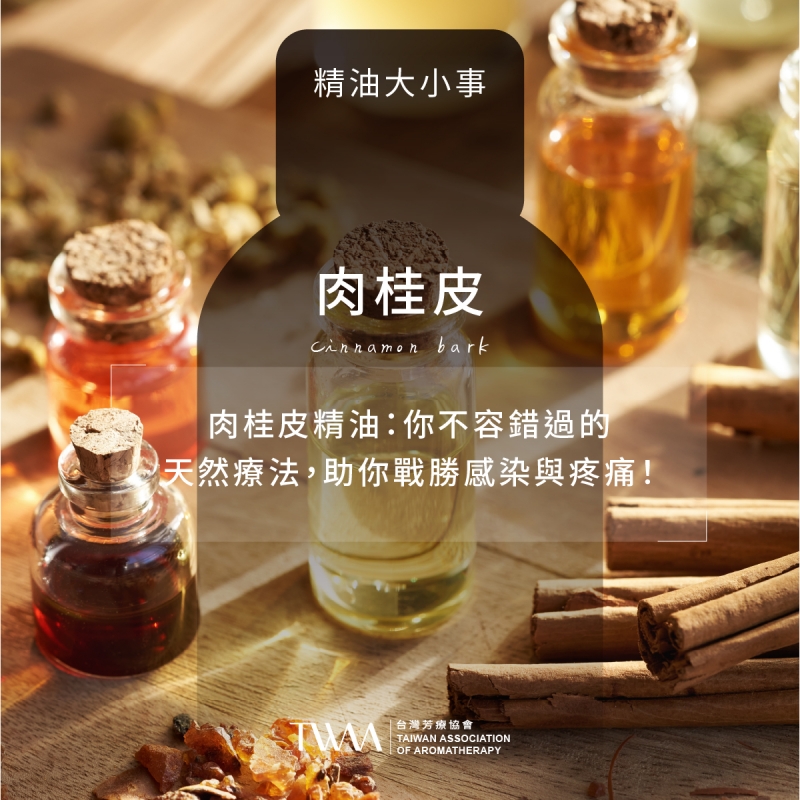 肉桂皮精油：你不容錯過的天然療法，助你戰勝感染與疼痛！