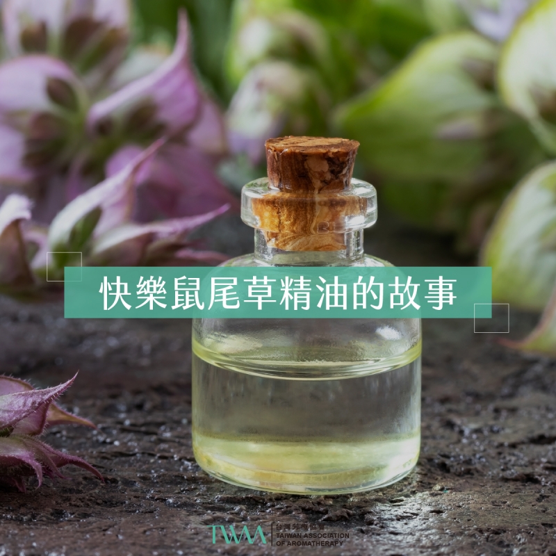 快樂鼠尾草精油全解析：從舒壓助眠到調經護宮的女性萬用油