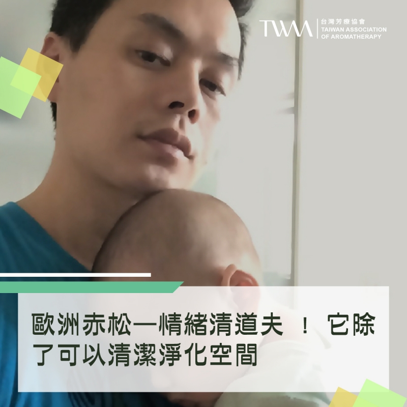 歐洲赤松—情緒清道夫 ! 它除了可以清潔淨化空間，舒緩呼吸道之外，還能幫你丟掉負能量、提升免疫力，讓你變得更積極?!