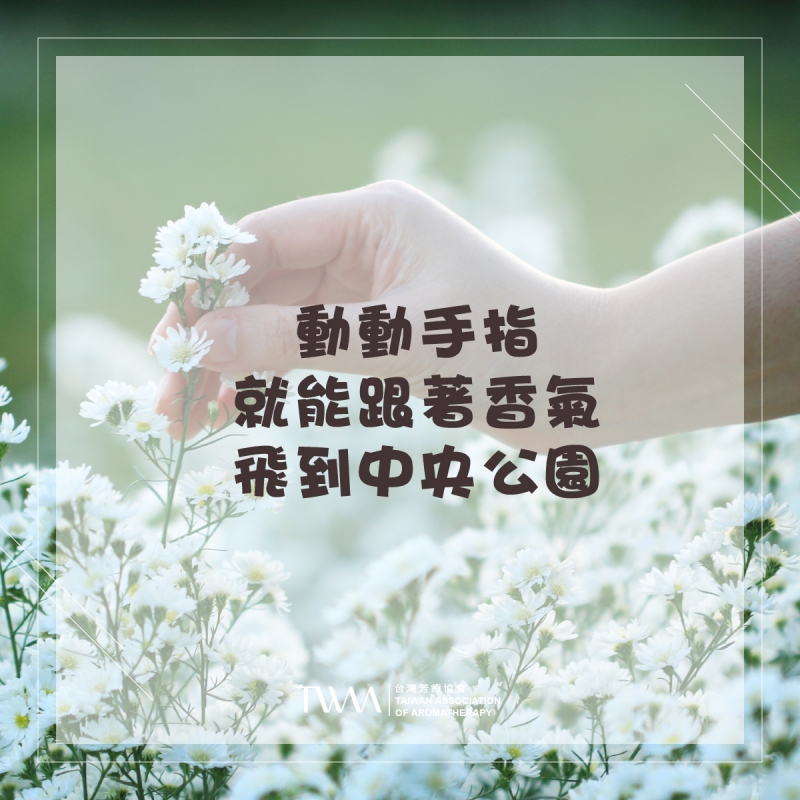 動動手指，就能跟著香氣飛到中央公園