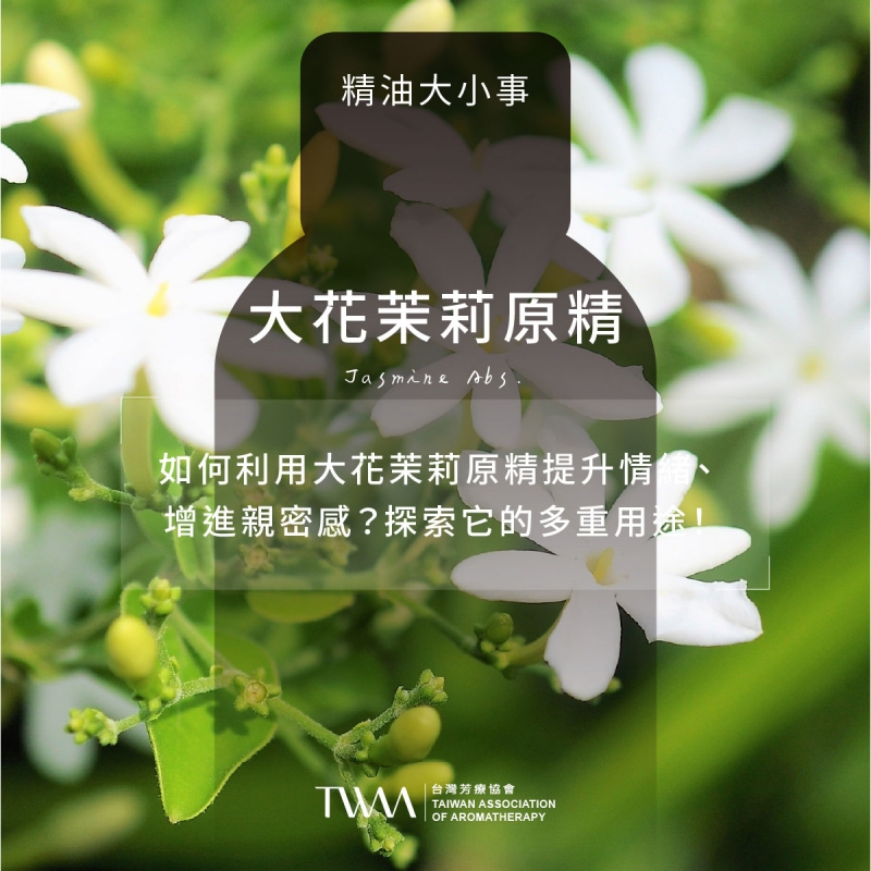 如何利用大花茉莉原精提升情緒、增進親密感？探索它的多重用途！