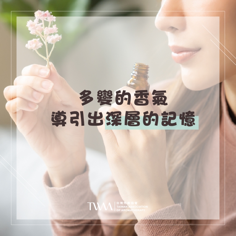 多變的香氣，導引出深層的記憶