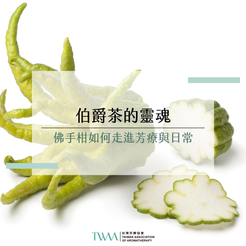 伯爵茶的靈魂：佛手柑如何走進芳療與日常