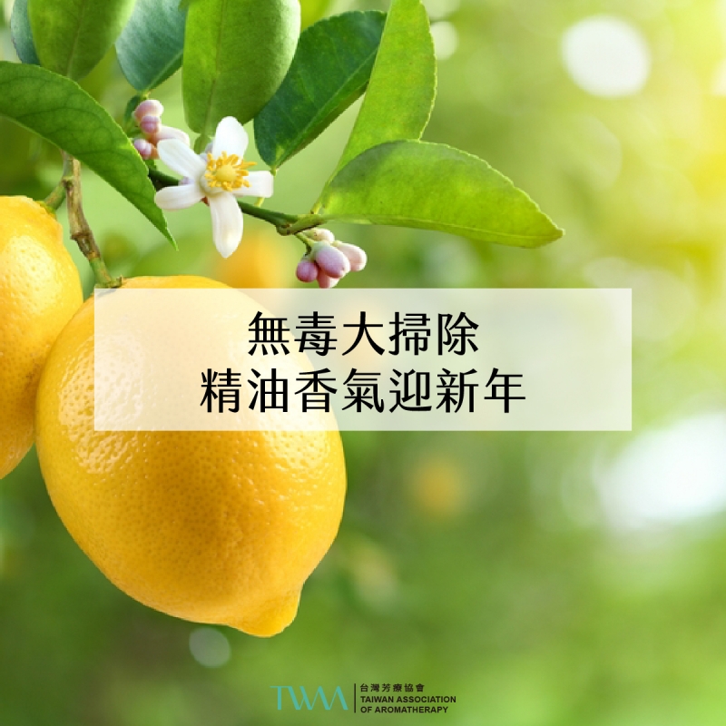 芳療會客室 – 無毒大掃除，精油香氣迎新年