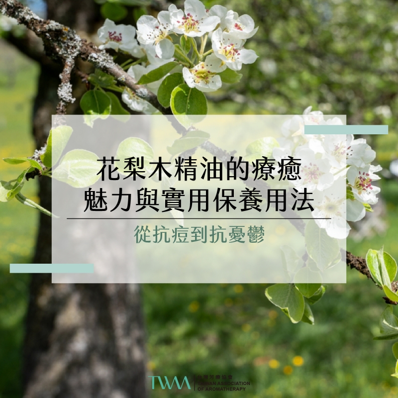 從抗痘到抗憂鬱：花梨木精油的療癒魅力與實用保養用法