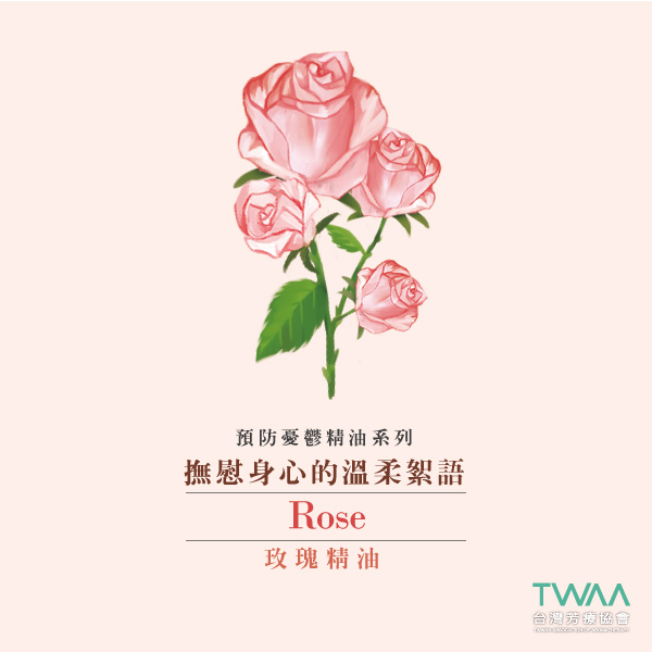 玫瑰精油─撫慰身心的溫柔絮語