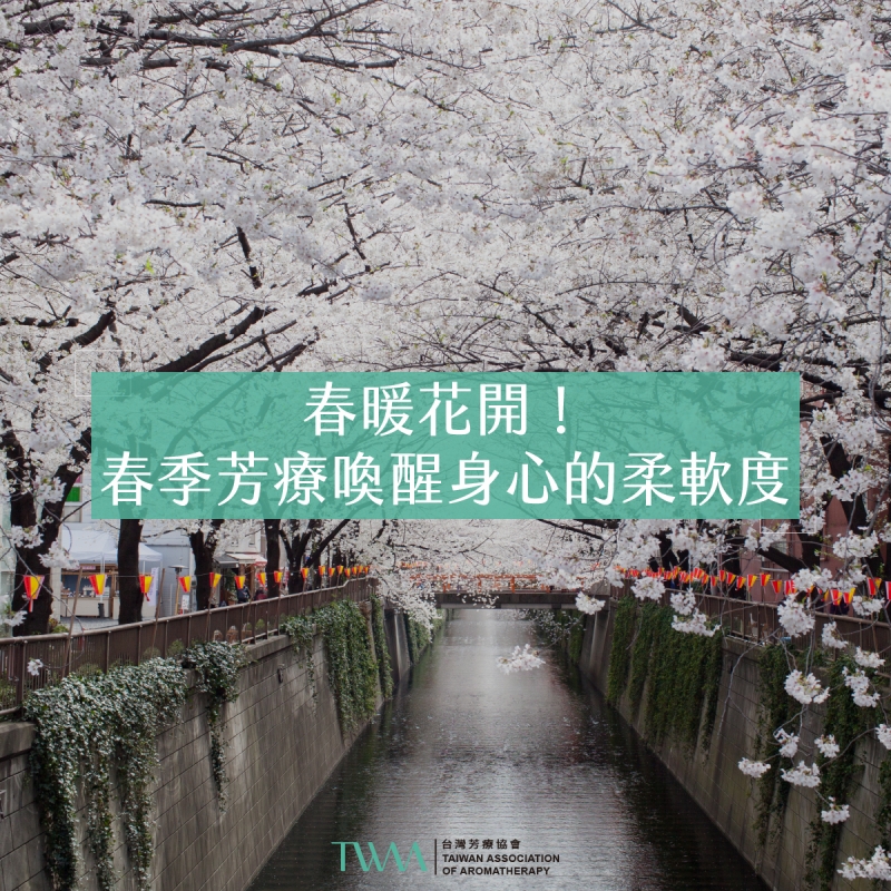 春暖花開！春季芳療喚醒身心的柔軟度
