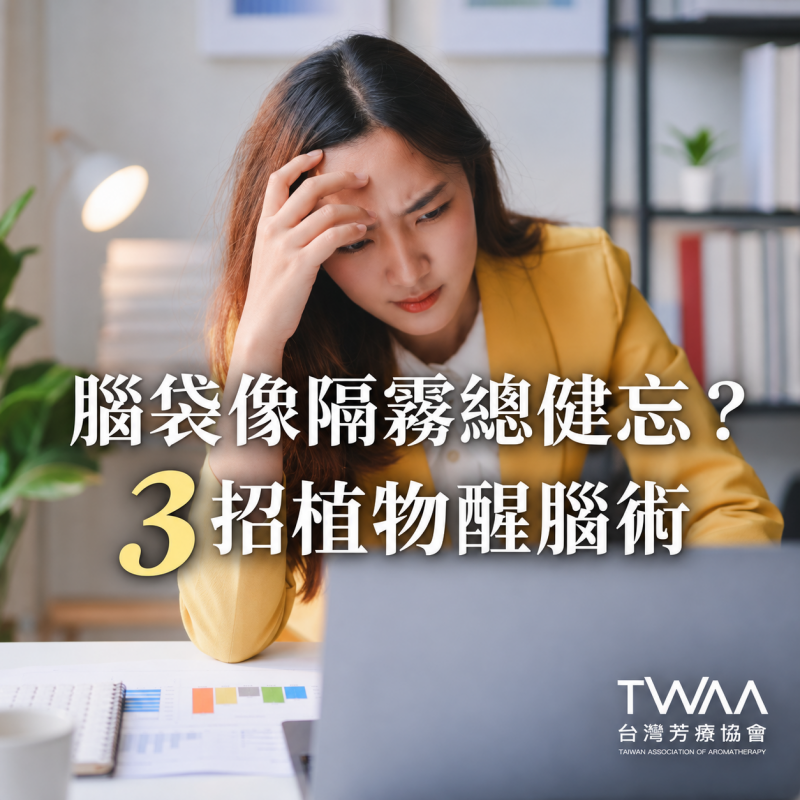 《2026/07/14 媒體報導》腦袋總像隔著一層霧、話到嘴邊就忘記？芳療專家公開 3 招「植物醒腦術」，溫柔喚回清晰記憶