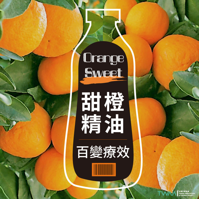 常見的甜橙精油，也有百變的療效