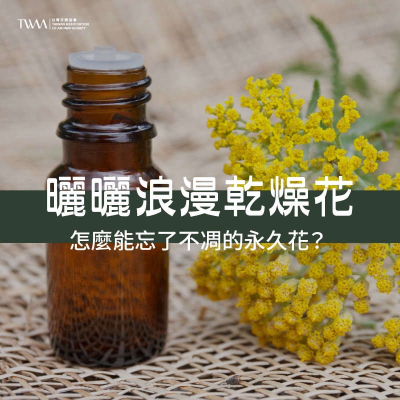 曬曬浪漫乾燥花，怎麼能忘了不凋的永久花？