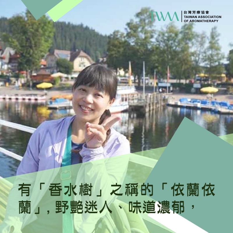 有「香水樹」之稱的「依蘭依蘭」, 野艷迷人、味道濃郁，原來用了它，會安撫交感神經、讓你跟心中雜念說掰掰?! ~~香氣故事