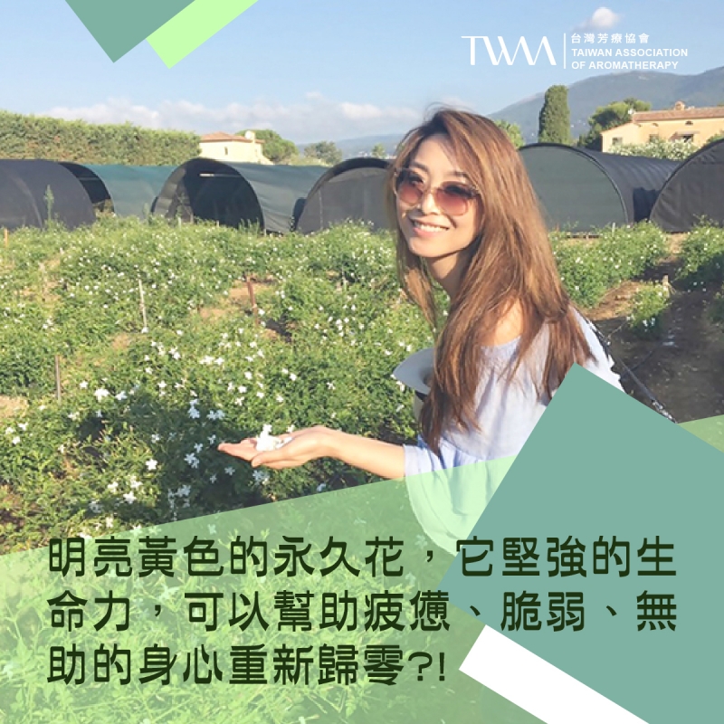 明亮黃色的永久花，它堅強的生命力，可以幫助疲憊、脆弱、無助的身心重新歸零?!