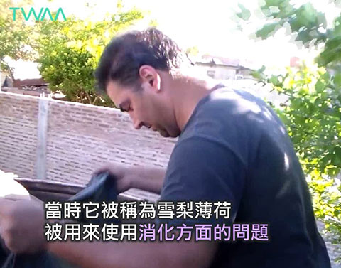 尤加利精油的故事 風的翅膀．可以用來處理消化方面的問題