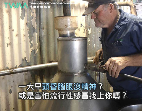 尤加利精油的故事 風的翅膀．流行性感冒時也能使用尤加利精油唷