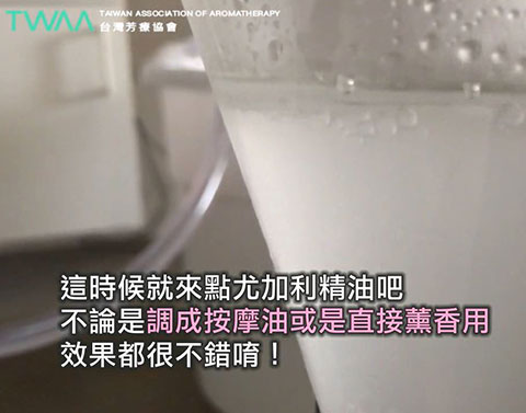 尤加利精油的故事 風的翅膀．用來按摩或薰香效果都很不錯唷！