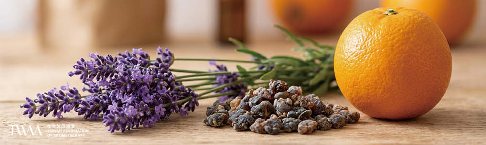 TWAA台灣芳療協會_我在安寧病房學到的事：最能安撫臨終焦慮的不是藥物，而是香氣。