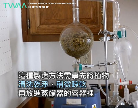 精油蒸餾法介紹 SD．蒸餾法需先將植物清洗、晾乾