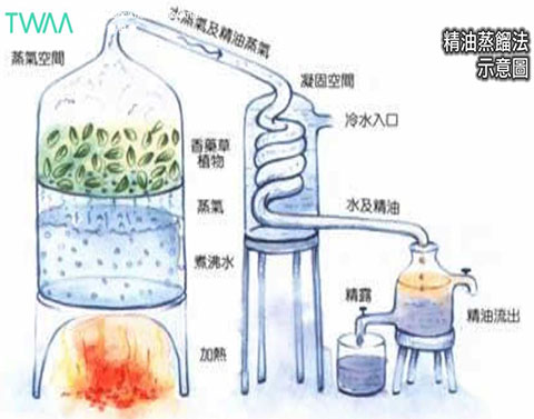 精油蒸餾法介紹 SD．精油蒸餾法示意圖