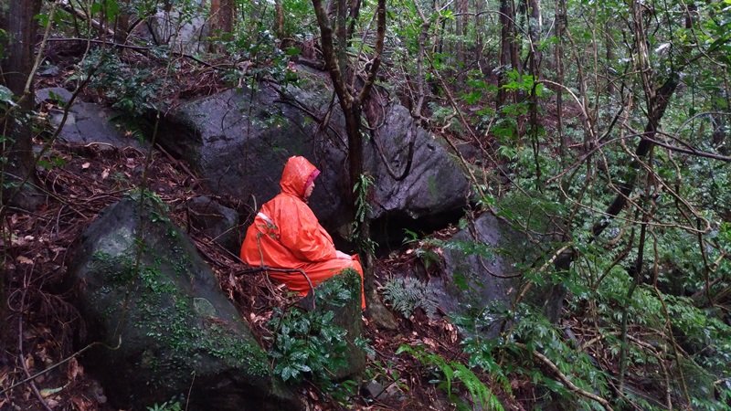 盈幸嘗試在大雨的森林裡，試著與自然還有自己相處   聽聽芳香 TWAA台灣芳療協會  圖片來源：受訪者提供
