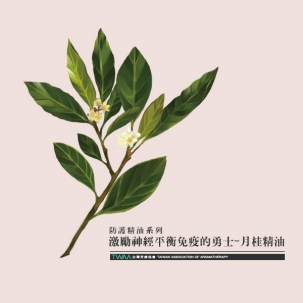 防疫精油系列 激勵神經平衡免疫的勇士—月桂精油