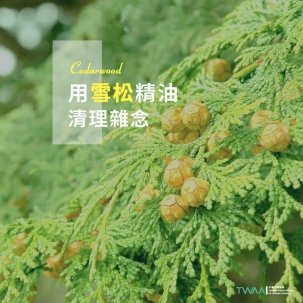 ​用雪松精油來清理雜念