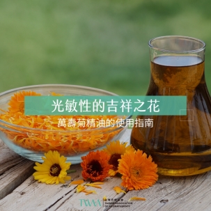 光敏性的吉祥之花：萬壽菊精油的使用指南