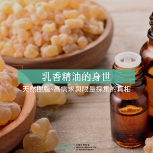 乳香精油的身世：天然樹脂、高需求與限量採集的真相