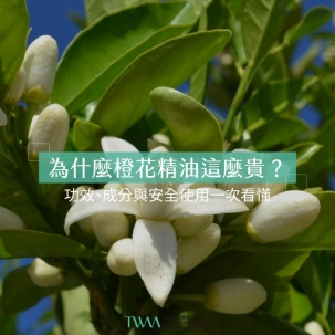 為什麼橙花精油這麼貴？功效、成分與安全使用一次看懂
