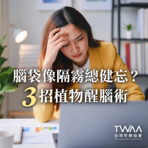 《2026/07/14 媒體報導》腦袋總像隔著一層霧、話到嘴邊就忘記？芳療專家公開 3 招「植物醒腦術」，溫柔喚回清晰記憶