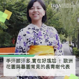手汗腳汗多,實在好尷尬 ! 歐洲花園與墓園常見的長青樹代表-絲柏精油原來可以幫上忙 ! ~ 芳療物語