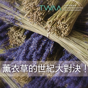 薰衣草不是只有一種！純正、穗狀、醒目用途大揭密