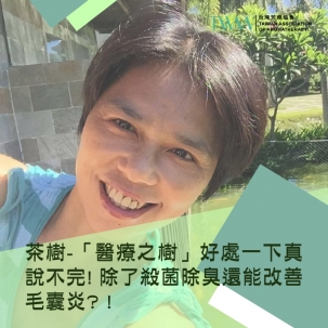 茶樹-「醫療之樹」好處一下真說不完! 除了殺菌除臭還能改善毛囊炎? !